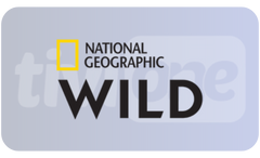 ┃NL┃ NAT GEO WILD 8K+ UHD